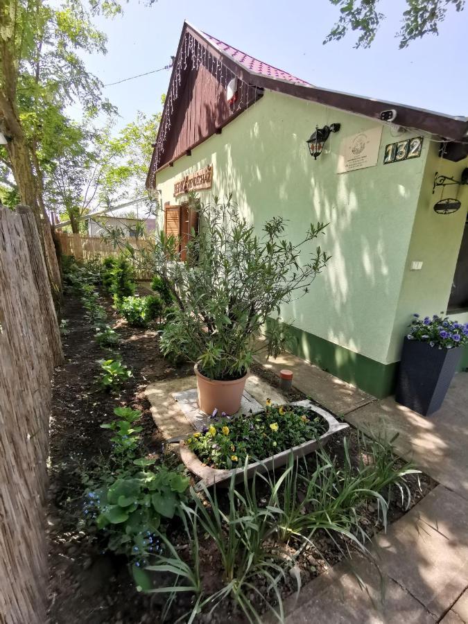Berko Vendeghaz Apartment Rakoczifalva Екстериор снимка